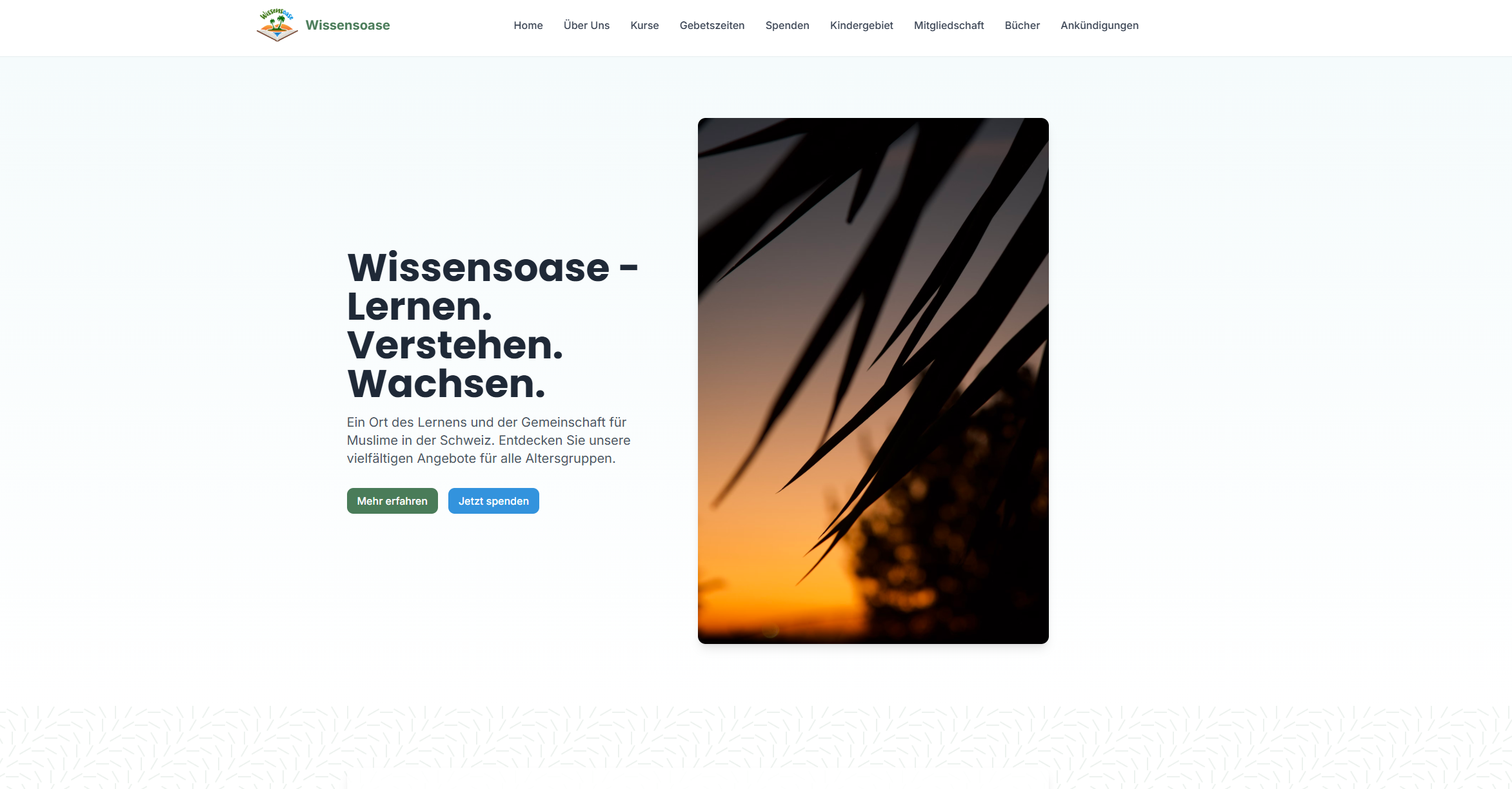 Wissensoase, Projekt von nurweb